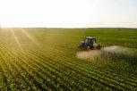 tractor-sprays-pesticides-corn-fields-sunset-542x407